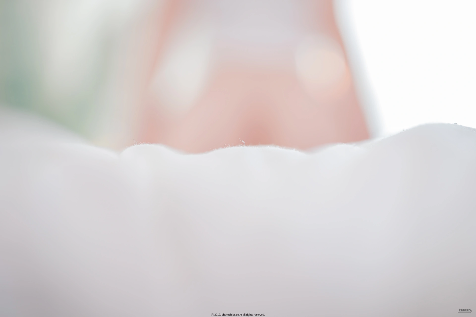 006.PhotoChips – Shaany No.01 1